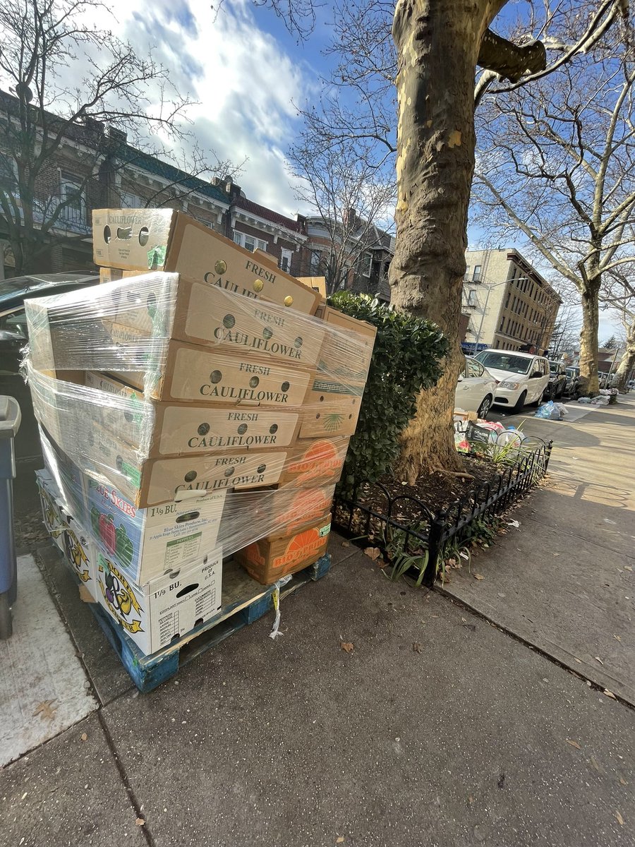Somia_Elrowmeim's tweet photo. Thank You @JustinBrannan for helping us getting all this fresh fruit and vegetables to give it away tomorrow in the Christmas Eve for our community. #Christmas #Food_distribution #HappyHolidays https://t.co/B0ZeSadw9E