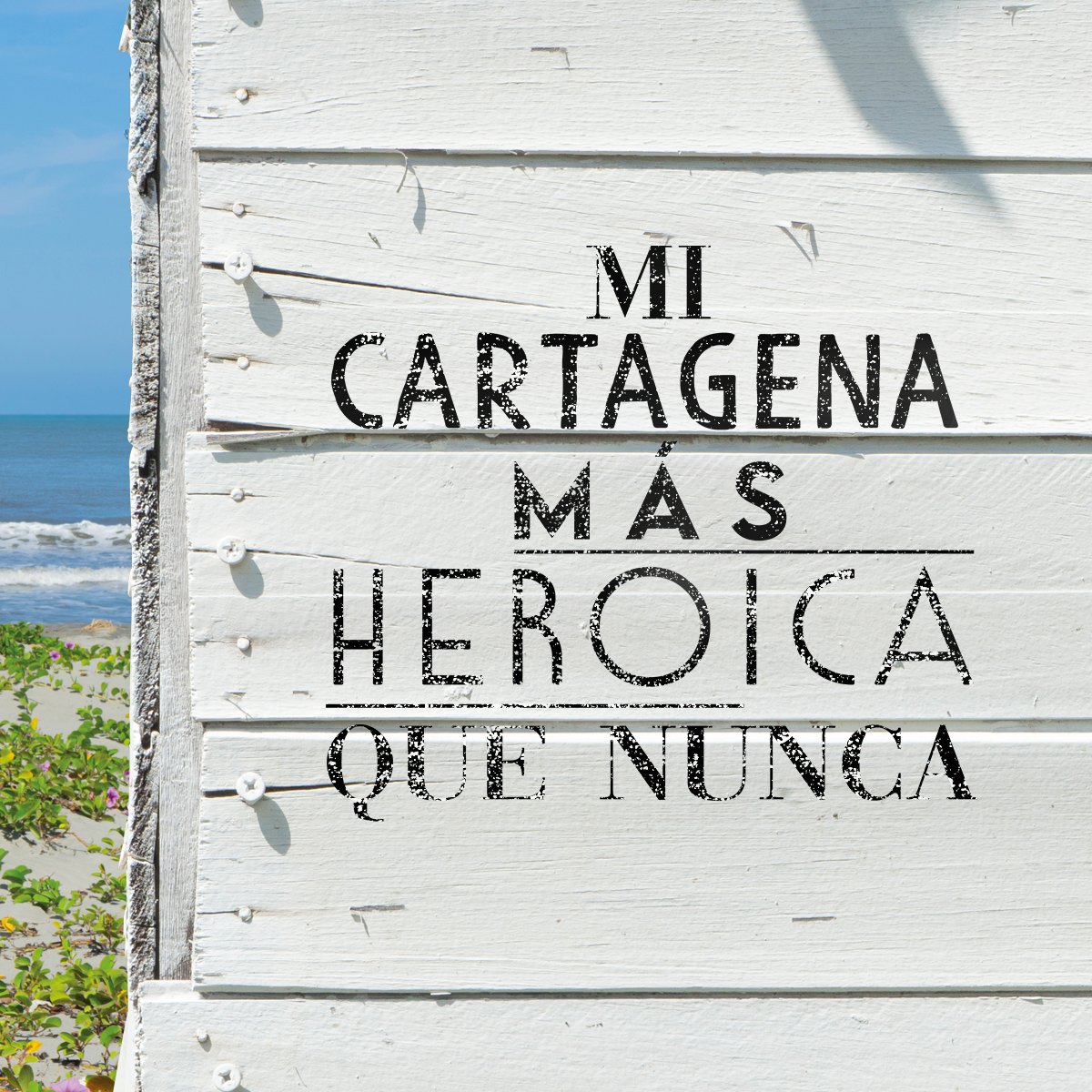 Turismo Cartagena De Indias tweet media