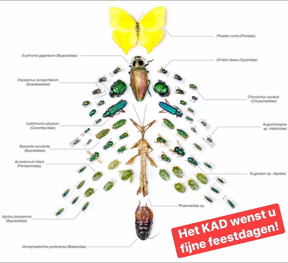 Graag wensen wij u goede Kerstdagen en een voorspoedig 2022 toe. We hopen u ook komend jaar weer van dienst te kunnen zijn!