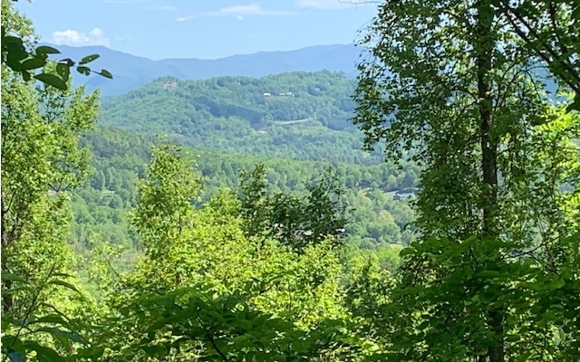 Mike_Stewart12's tweet photo. Check out my #listing in #YoungHarris #GA  #realestate #realtor https://t.co/aZd3lssVRT https://t.co/iW9SFZkYdY