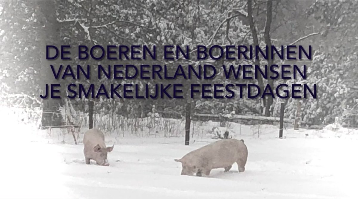 #fijnefeestdagen 🎄
youtu.be/XaUmjYl2wNU 🎞