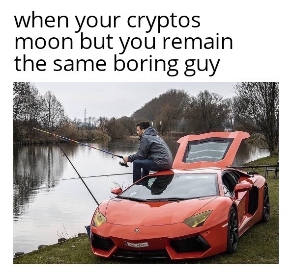 whiterabbitb0t's tweet image. 