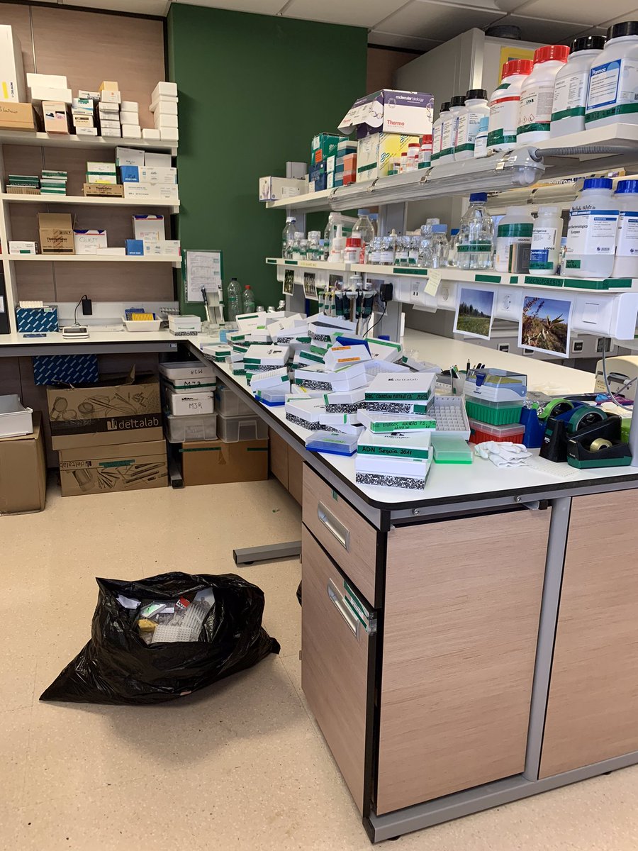 mariajodem's tweet photo. Cuando acabas el año con la sensación de los deberes hechos. Limpieza en el laboratorio 🧫🧪 Nos gusta el campo y recoger muestras de #almendro pero en el laboratorio hay detrás un arduo trabajo con el ADN 🧬Ahora todo publicado @beaforta y tesis depositada @Al_Montesinos.Gracias https://t.co/BHP0IyxLWN