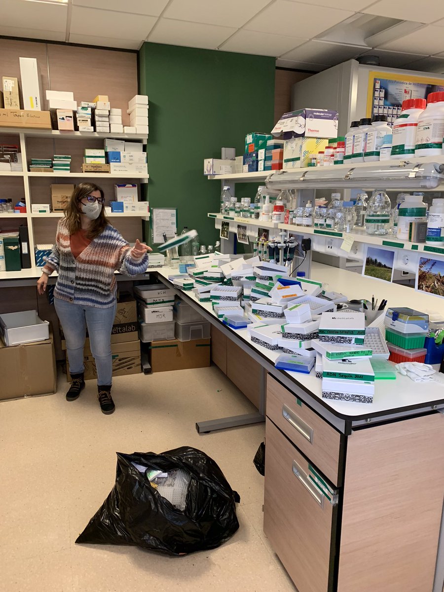 mariajodem's tweet photo. Cuando acabas el año con la sensación de los deberes hechos. Limpieza en el laboratorio 🧫🧪 Nos gusta el campo y recoger muestras de #almendro pero en el laboratorio hay detrás un arduo trabajo con el ADN 🧬Ahora todo publicado @beaforta y tesis depositada @Al_Montesinos.Gracias https://t.co/BHP0IyxLWN
