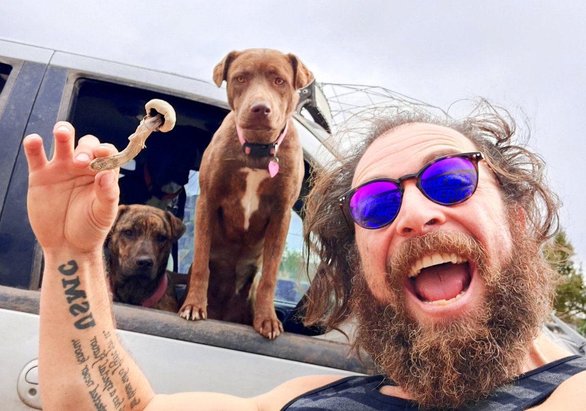 King Asoa of Gardenia tweet media