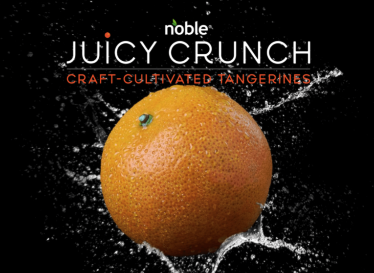 odatomarketing's tweet photo. As 2022 nears, we would like to highlight some of the amazing work done by our team in helping Noble Citrus bring their brand to life with a new website launch! #marketingagency #digitalmarketing #marketingstrategy #branding https://t.co/4Ewq1Wm0WP