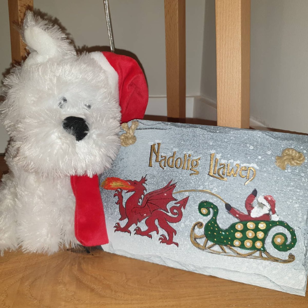 DukieP2012's tweet photo. Dreaming about what Santa is going to bring me #Christmas #westie #westhighlandwhiteterrier #westiesoftwitter #dogs #doglovers  #doglife #dogsoftwitter https://t.co/OLZ52I2A9Q