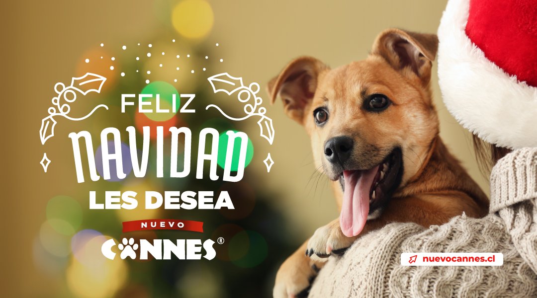 cannes_chile's tweet photo. Desde el Nuevo Cannes deseamos que esta nochebuena puedan vivirla junto a sus peluditos y compartir el espíritu de la navidad en familia.

¡#FelizNavidadPerrosBaCannes! 🎄🐶🎄🐾❤️

#NuevoCannes
#DICTUC
#AmorPerruno
#FelizNavidad
#NavidadPerruna https://t.co/36yulXUuFg