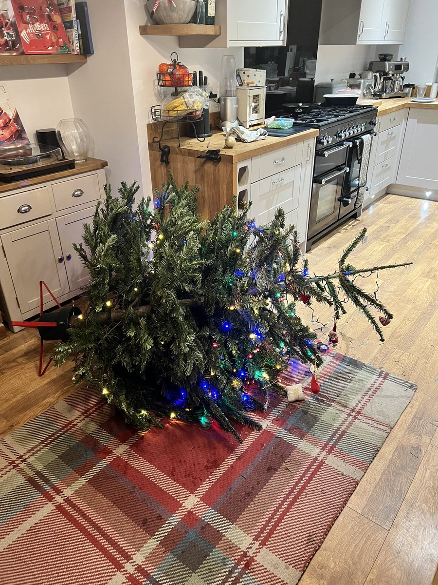 abbi_lamps's tweet photo. Merry Christmas 😩😩😩 #treefail https://t.co/2b1qafxJmh