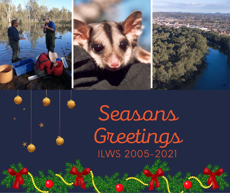 ILWS Charles Sturt Uni tweet media