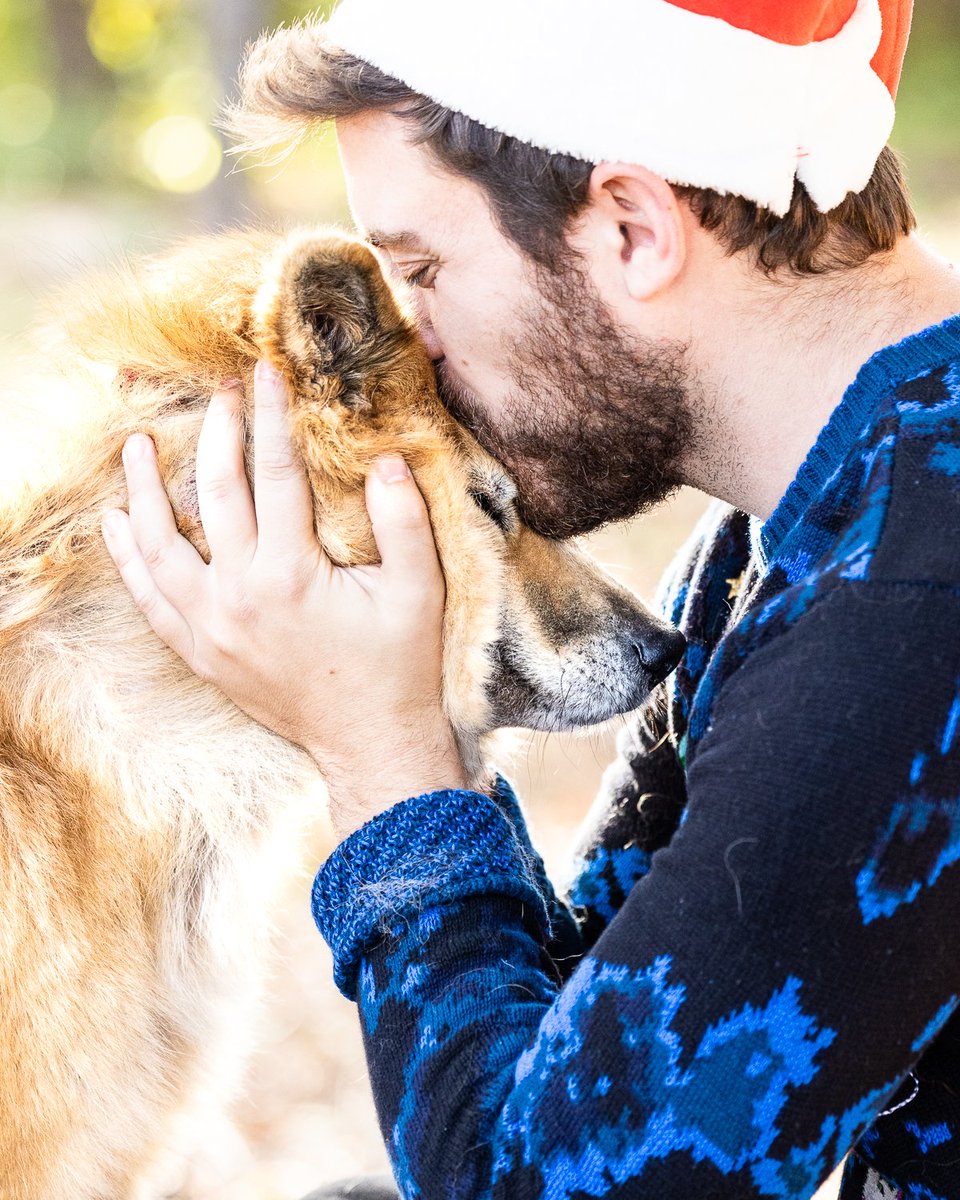 EvolvePetFood's tweet photo. The greatest gift of all is spending time with the ones you love โฃ๏ธ
#ChooseEvolve #EvolvePets https://t.co/98fx3DuP6k