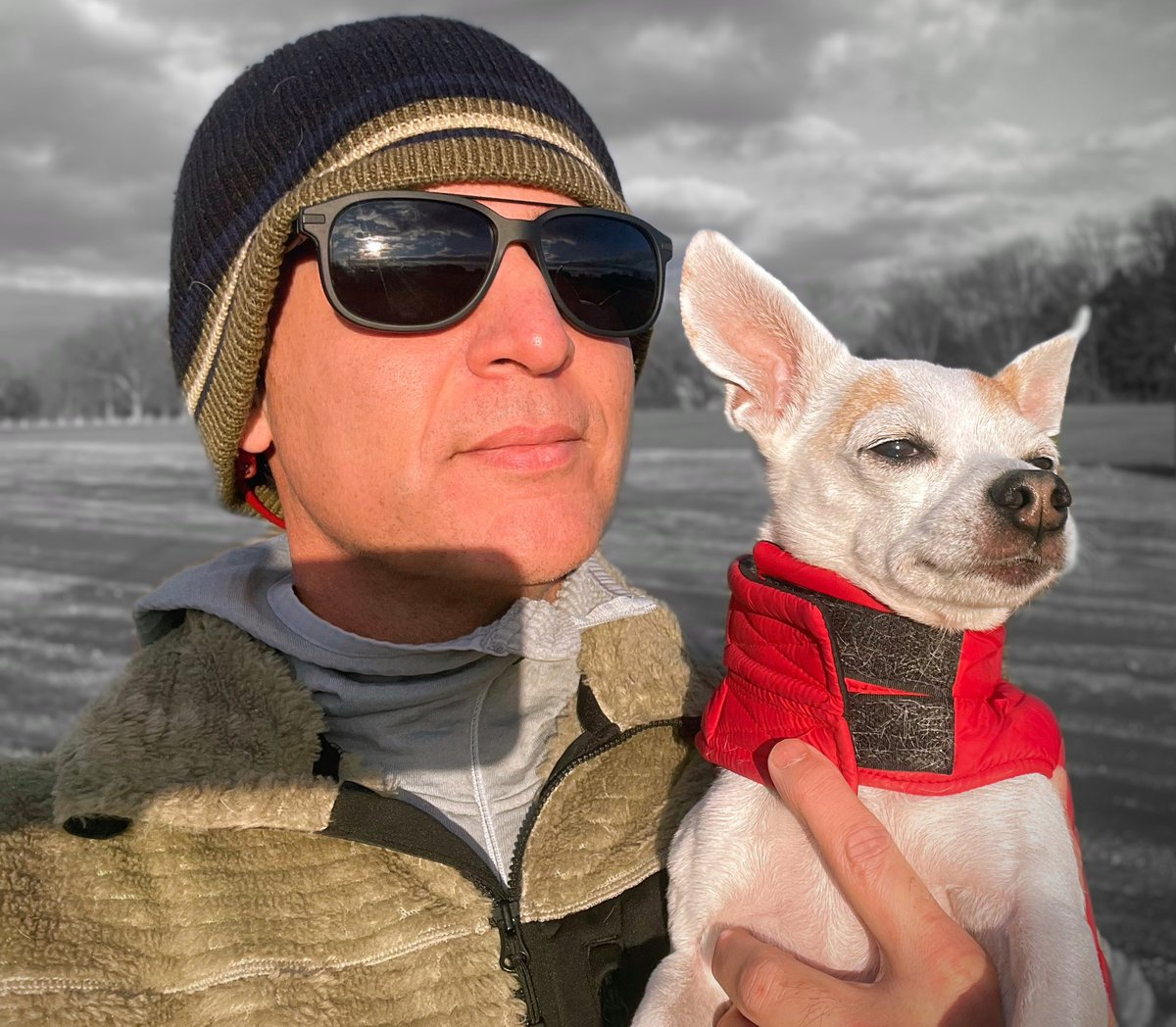 mediplation's tweet photo. Watching an Ohio sunset on a chilly evening with my best boy. My Heart is filled. #Chihuahua #gratitude https://t.co/veM6M9oGVA