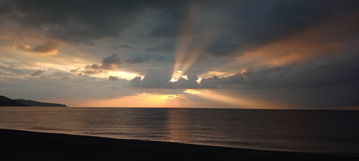 Billybug 🚲 #JeSuisPaul tweet media