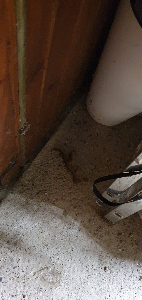 peu importe tweet media