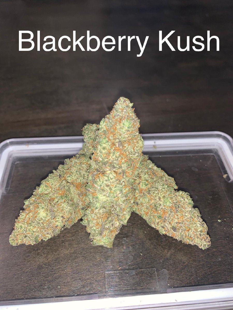 RustikThe's tweet image. Come down and check us out in ADA, OK. Truly Patient Over Profit. #adaoklahoma #adaok #sulphurok #cannabis #CannabisCommunity #sativa #hybrid #indica #fullspectrum #liveresin #curedresin #topshelf
#indoorfloor