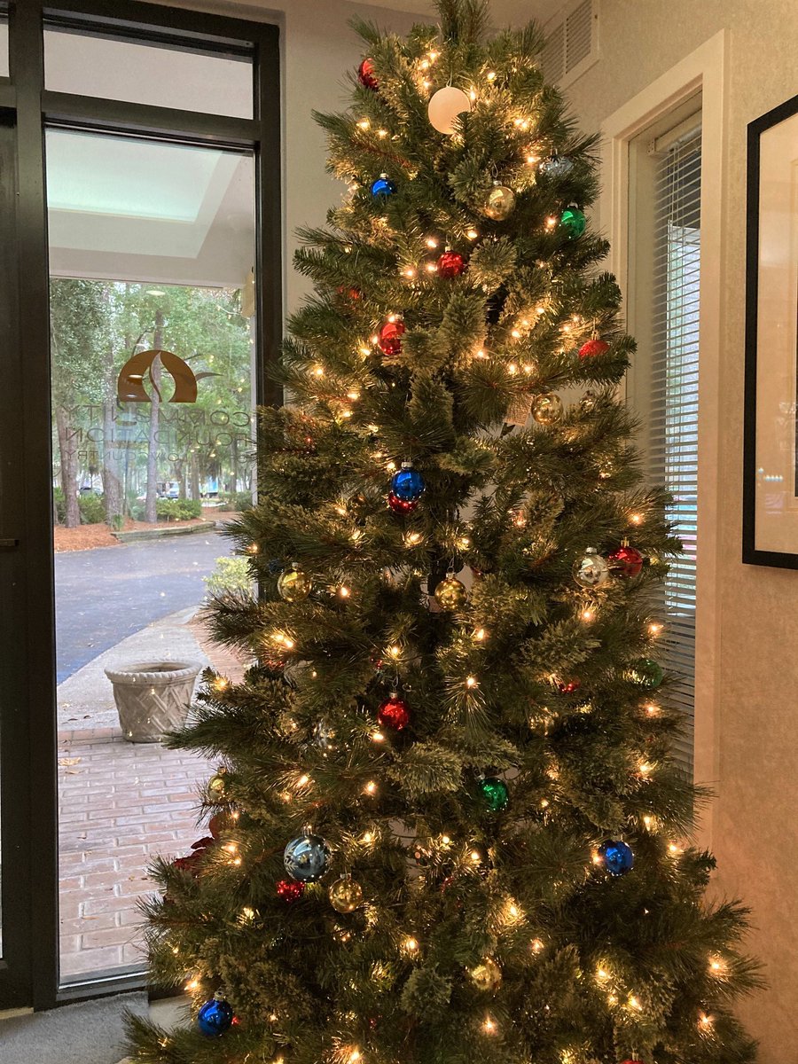 cflowcountry's tweet photo. Merry Christmas, Lowcountry! 🎄 

As a reminder, our office will be closed tomorrow, December 24, and reopen Monday, December 27. Enjoy your holiday weekend! https://t.co/cdgIjV88w8