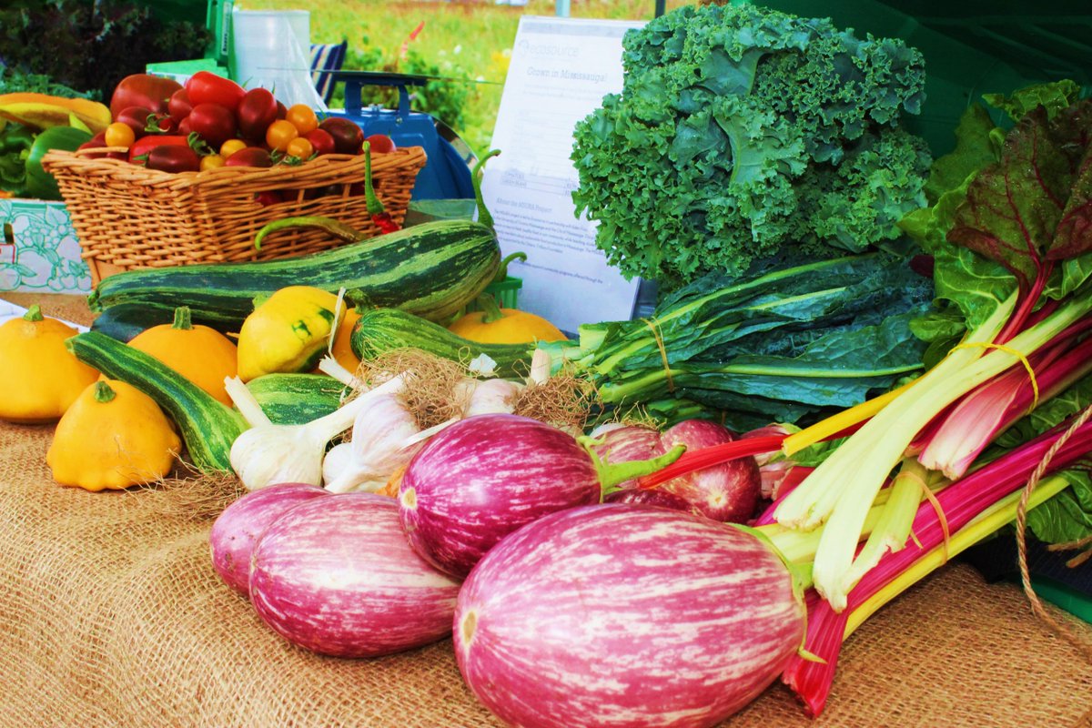 Planning a holiday feast?

🥕Shop local for ingredients
🍴Plan meals ahead to avoid overbuying 
🥙Find creative ways to reuse/save food scraps
🍗Place additional food scraps in compost 

Learn more about our urban agriculture: mississauga.ca/homegrown @SaugaParksRec