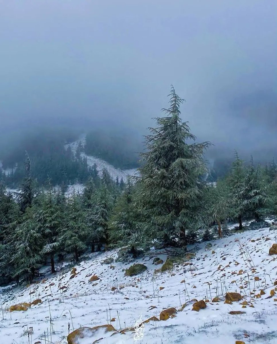 Discover_DZ's tweet photo. Khenchela, Algeria. https://t.co/zdbhpoAlAK