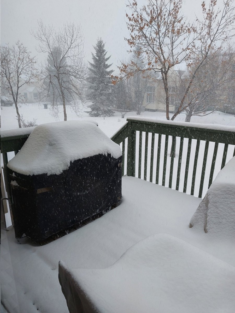 Edredman_'s tweet photo. Still going to BBQ tonight.  I am Canadian after all. https://t.co/mGPZ58P6ZB