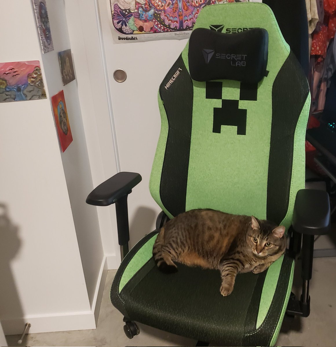 dandibobandi's tweet photo. The Christmas gift to myself. Flash approves of the chair @secretlabchairs @Minecraft https://t.co/eDTBygnvuy