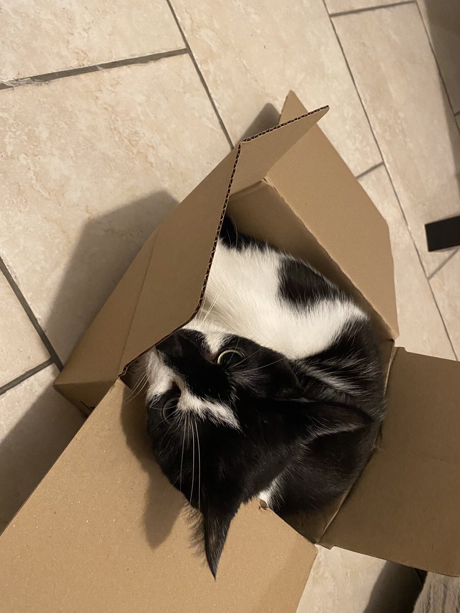 ChatBaga's tweet image. J’ai eu un lecarton