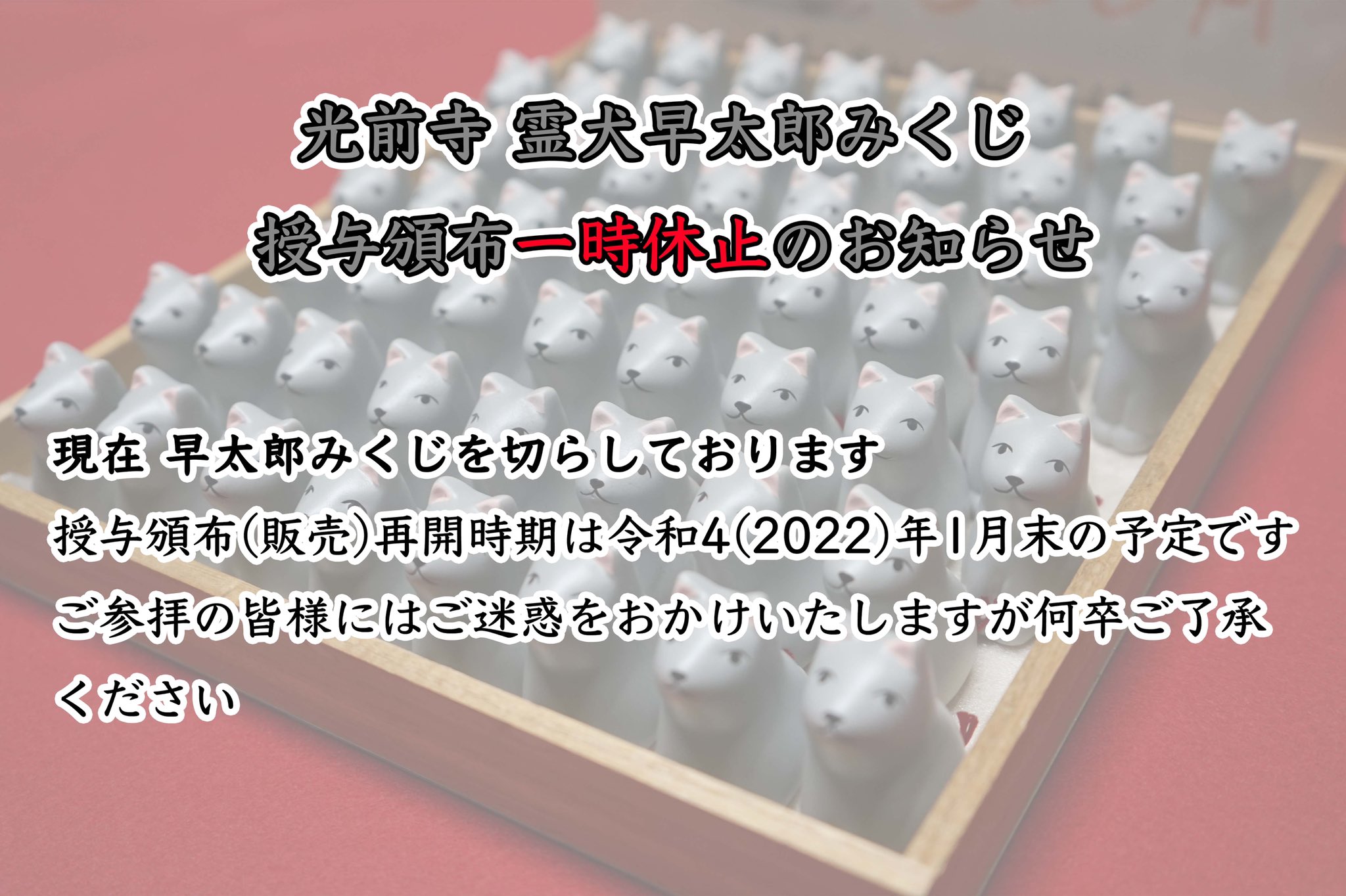 光前寺 光前寺 霊犬早太郎みくじ 授与頒布一時休止のお知らせ 現在 早太郎みくじを切らしております 授与頒布 販売 再開時期は令和4 22 年1月末の予定です 光前寺 霊犬早太郎 霊犬 早太郎 おみくじ 早太郎みくじ 早太郎おみくじ 霊犬早太郎
