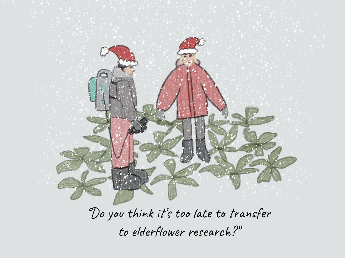 DebbieSparkes's tweet photo. My fantastic Christmas card from the very talented @AnnieKBuckley: to be fair the 
@UoN_Beet_team were taking measurements right up to the December harvest. Hopefully that hasn’t deterred them from working on #sugarbeet. @UoNBiosciences @BBRO_Beet https://t.co/aDy2Mp8PAz