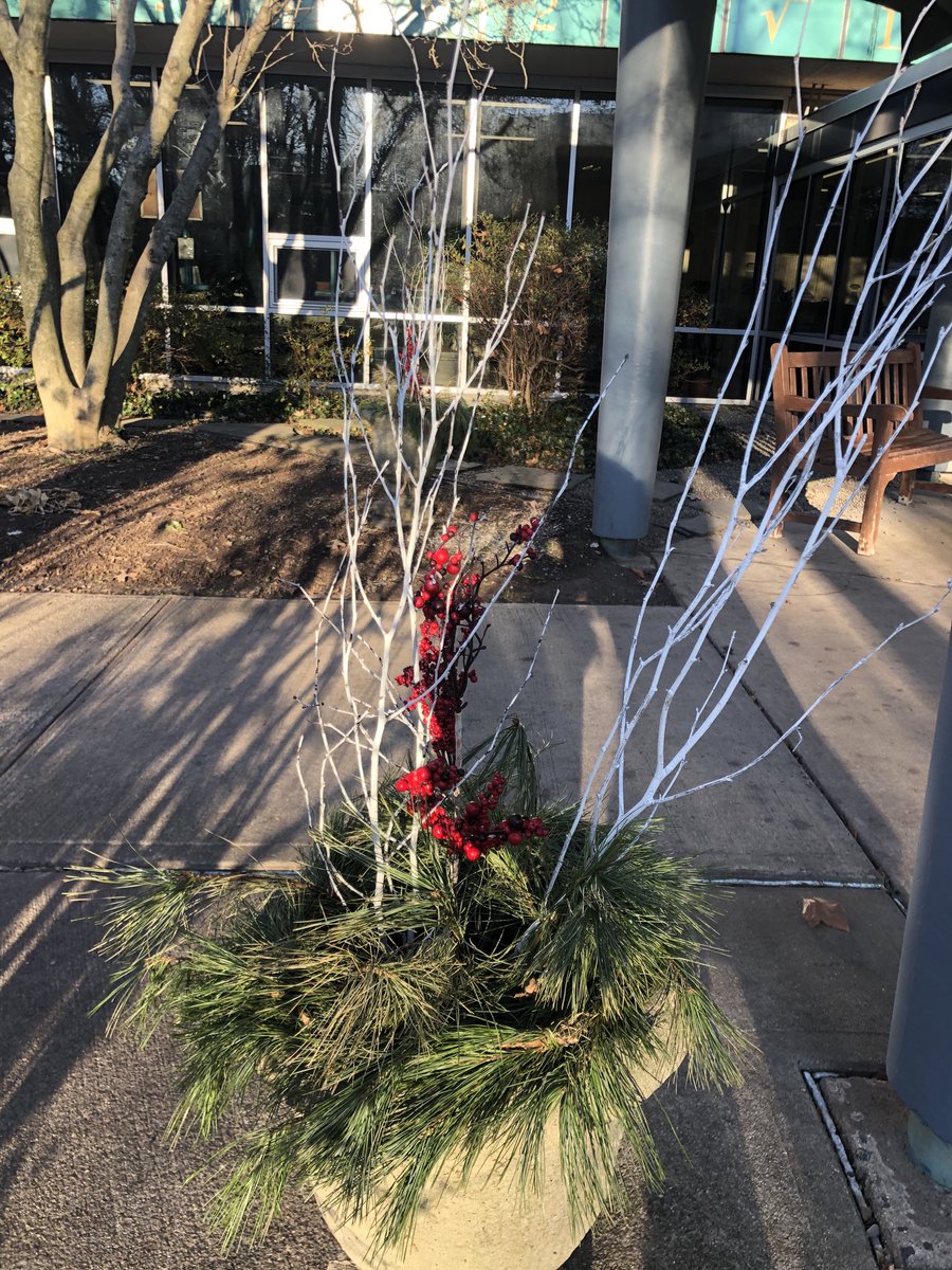 Beautiful last day at CP before winter break ❤️ Happy Holidays 🤩