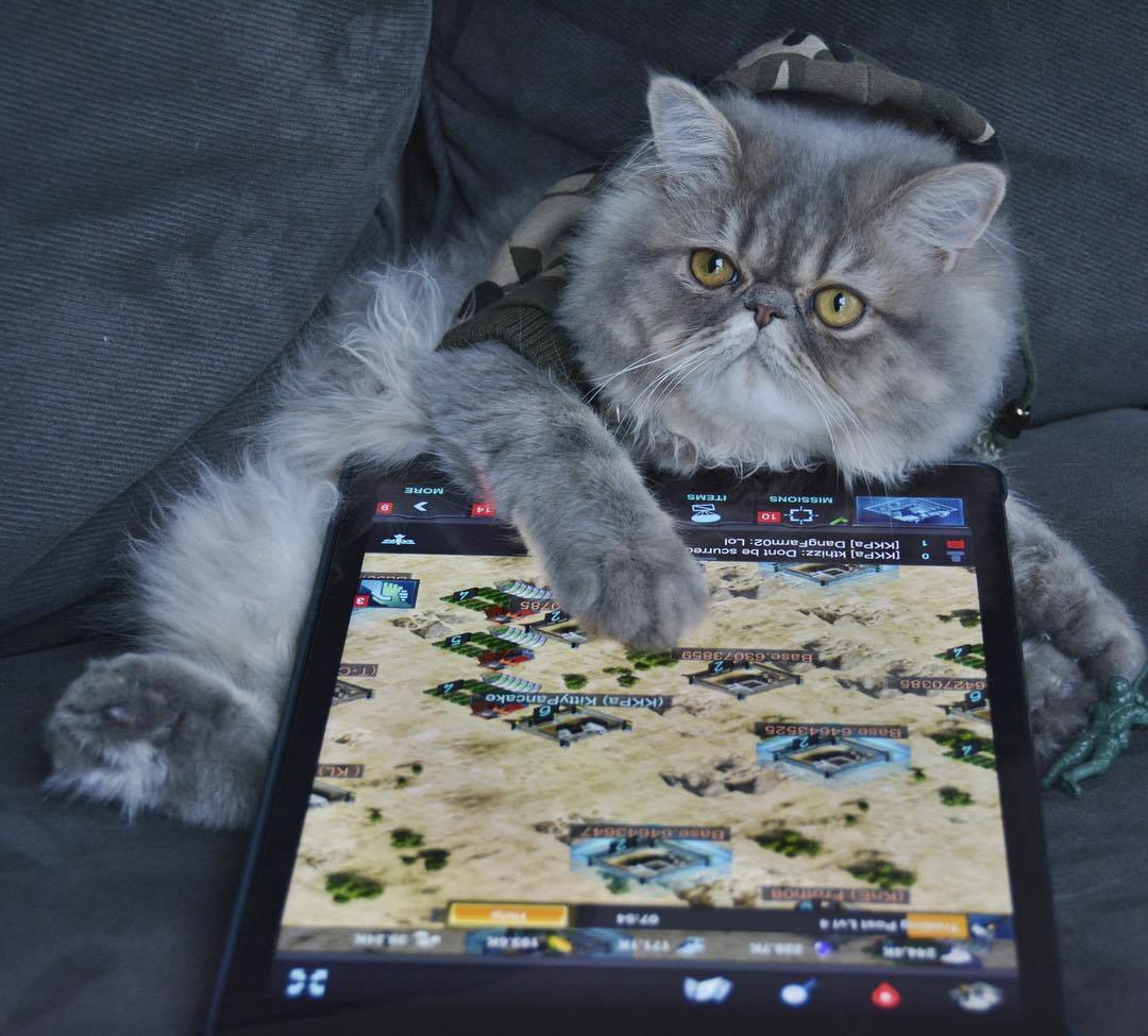 Mobile Strike tweet media