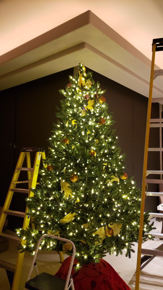 cindypaur's tweet photo. Trimming the tree! https://t.co/Y0ATVFEKZZ