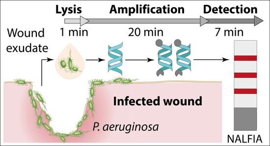Biosensors_MDPI's tweet image. Rapid Detection of #Pathogens in Wound Exudate via Nucleic Acid Lateral Flow #Immunoassay
Available at: mdpi.com/2079-6374/11/3…
#recombinasepolymeraseamplification
#pointofcarediagnostics
#paperbaseddetection