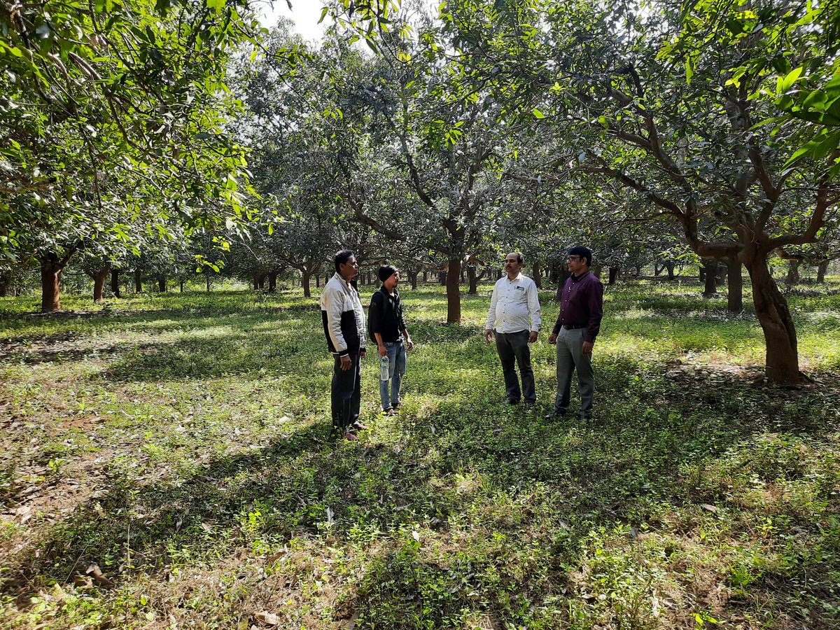 BihanaOjaivik PramananSanstha_ Odisha tweet media