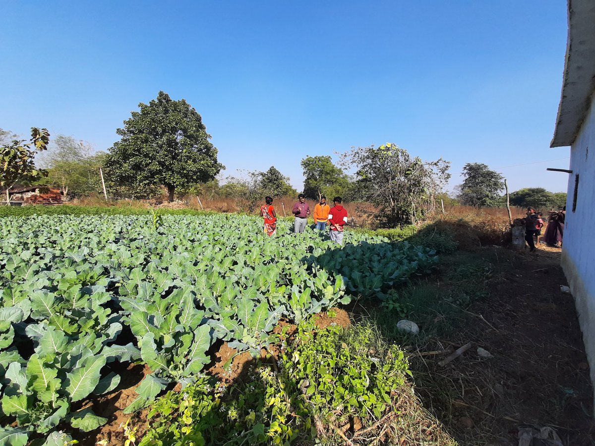 BihanaOjaivik PramananSanstha_ Odisha tweet media