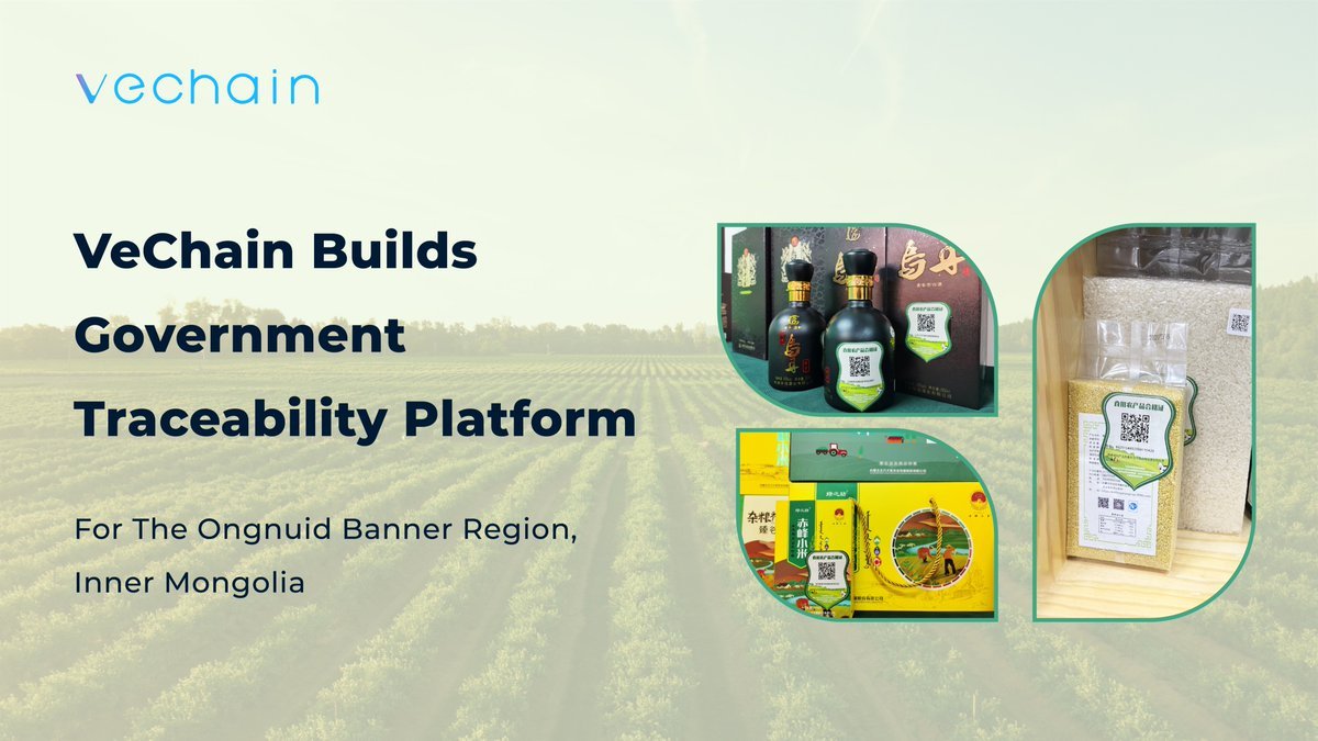 OCS_INC's tweet photo. #VeChainThor https://t.co/21Vg5MwTLK