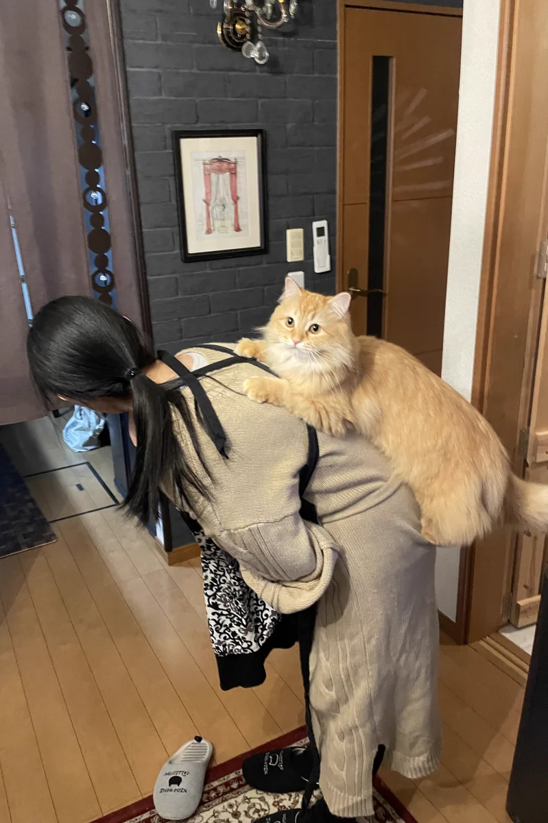 背中の猫を『とってぇ！！』と言ったのに…写真を撮られてしまったw