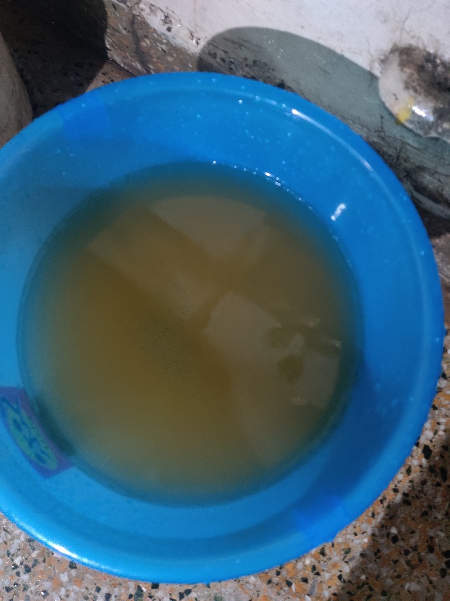 anchalgupta92's tweet photo. Contaminated water supply in JanakPuri, Delhi for the past 5 days. No action has been taken by @DelhiJalBoard despite complaints. @SatyendarJain @ArvindKejriwal https://t.co/XriDFsJNjW