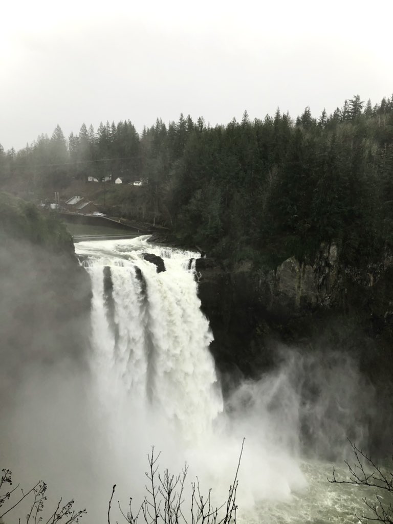Gememm_'s tweet photo. Seattle,WA 🌲 https://t.co/L1onA2BdGa