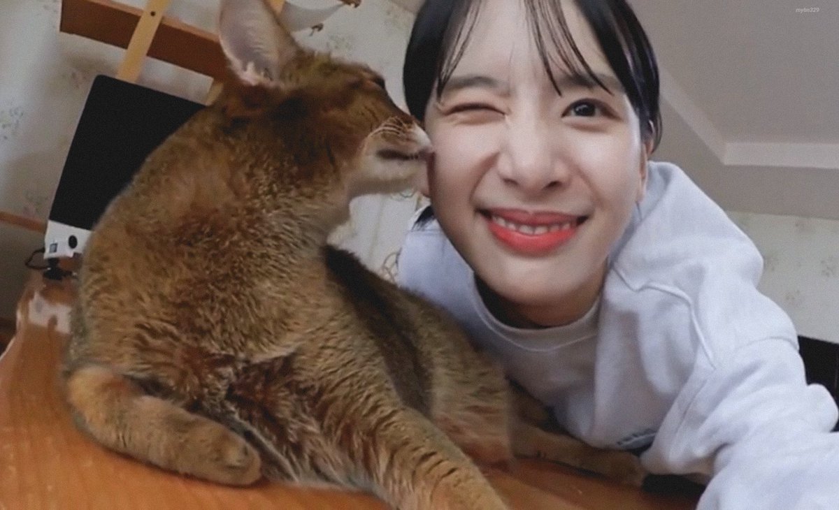 mybn329's tweet photo. #설아 #SEOLA #우주소녀 #WJSN https://t.co/MJIl45Pz1Y