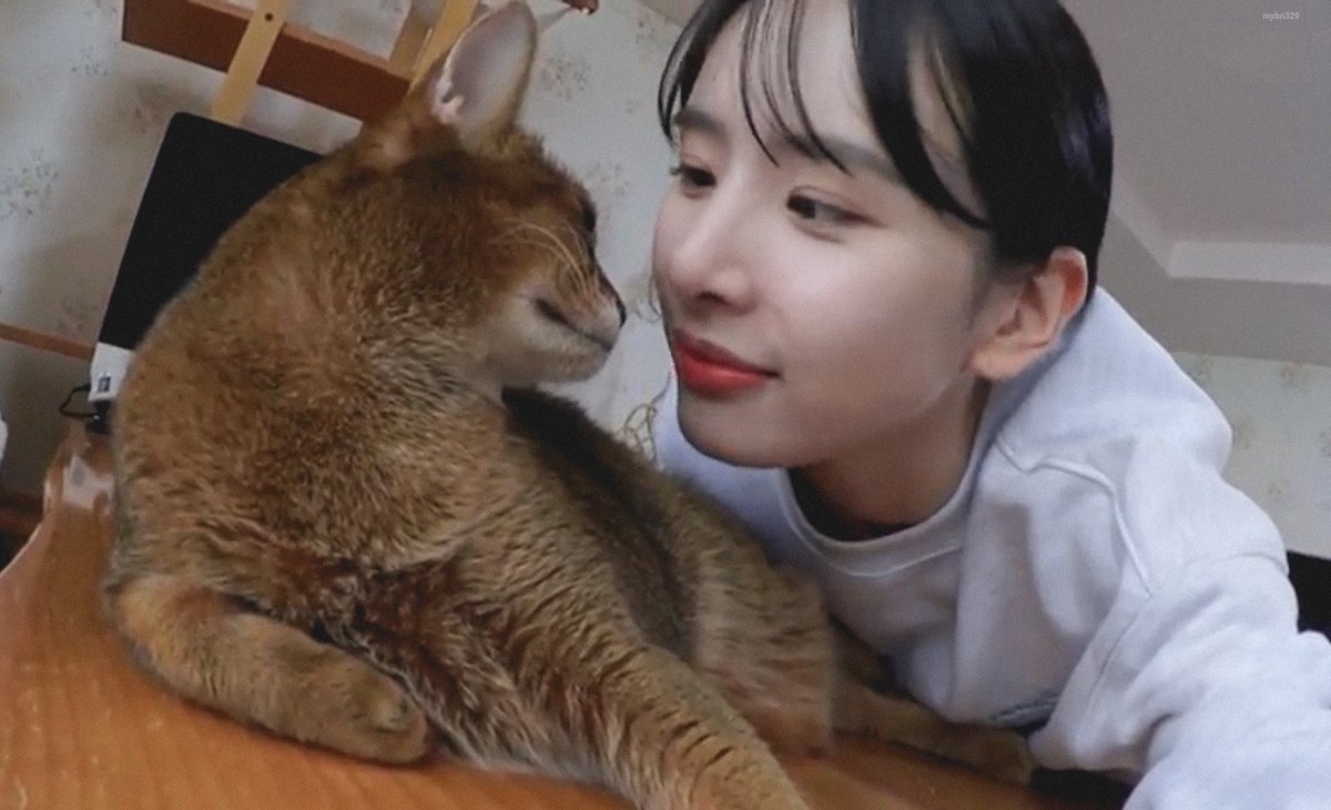 mybn329's tweet photo. #설아 #SEOLA #우주소녀 #WJSN https://t.co/MJIl45Pz1Y
