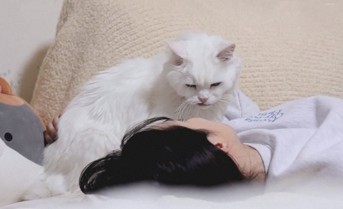 mybn329's tweet photo. #설아 #SEOLA #우주소녀 #WJSN https://t.co/MJIl45Pz1Y