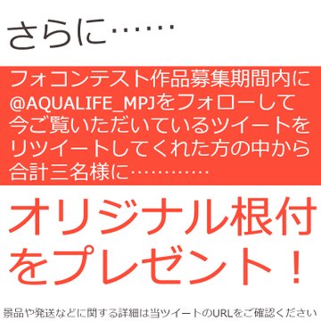 半永久的に水換え不要の水槽作りが難しい理由 熱帯魚 金魚への影響は 熱帯魚なめんな アクアリストぷれ子と愉快な仲間たち