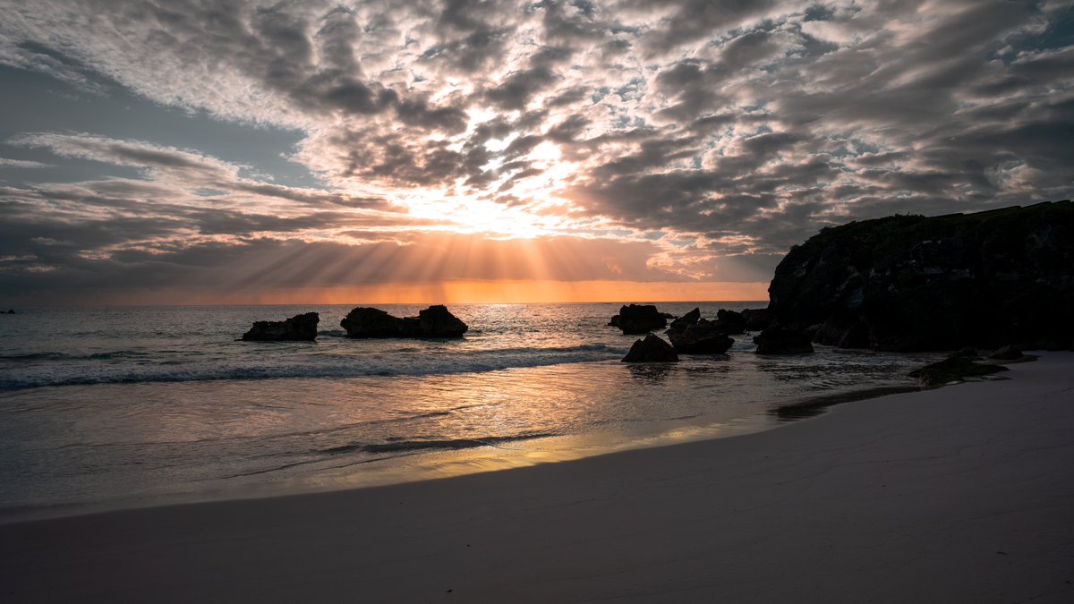 olliefearing's tweet image. Have a good night twitter 🌅