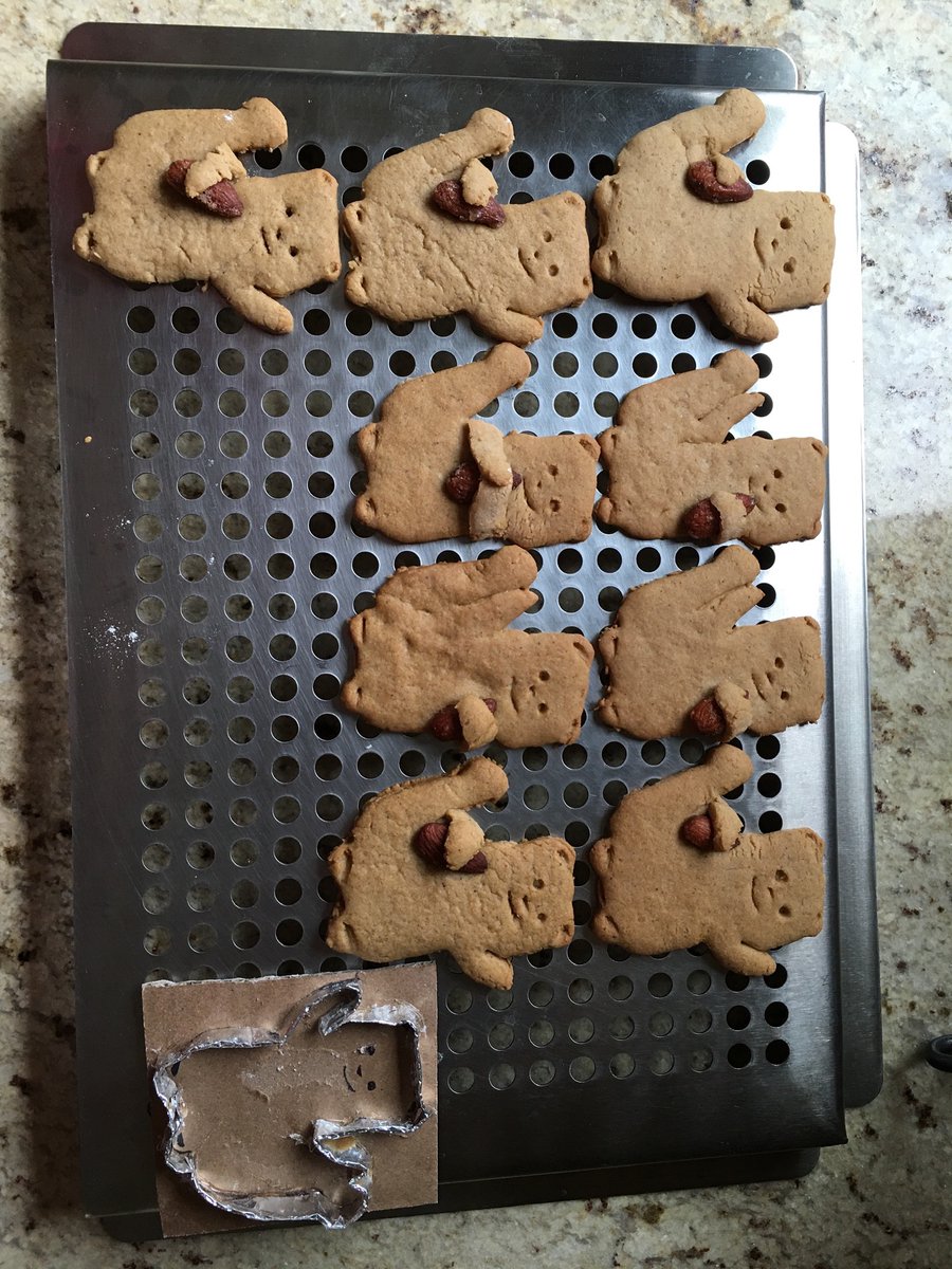 amanookian1's tweet photo. Ginger squirrel πΏ cookies my daughter made with her homemade, DIY cookie cutter. #ChristmasBaking #kitchenengineering https://t.co/Drogl1B4br