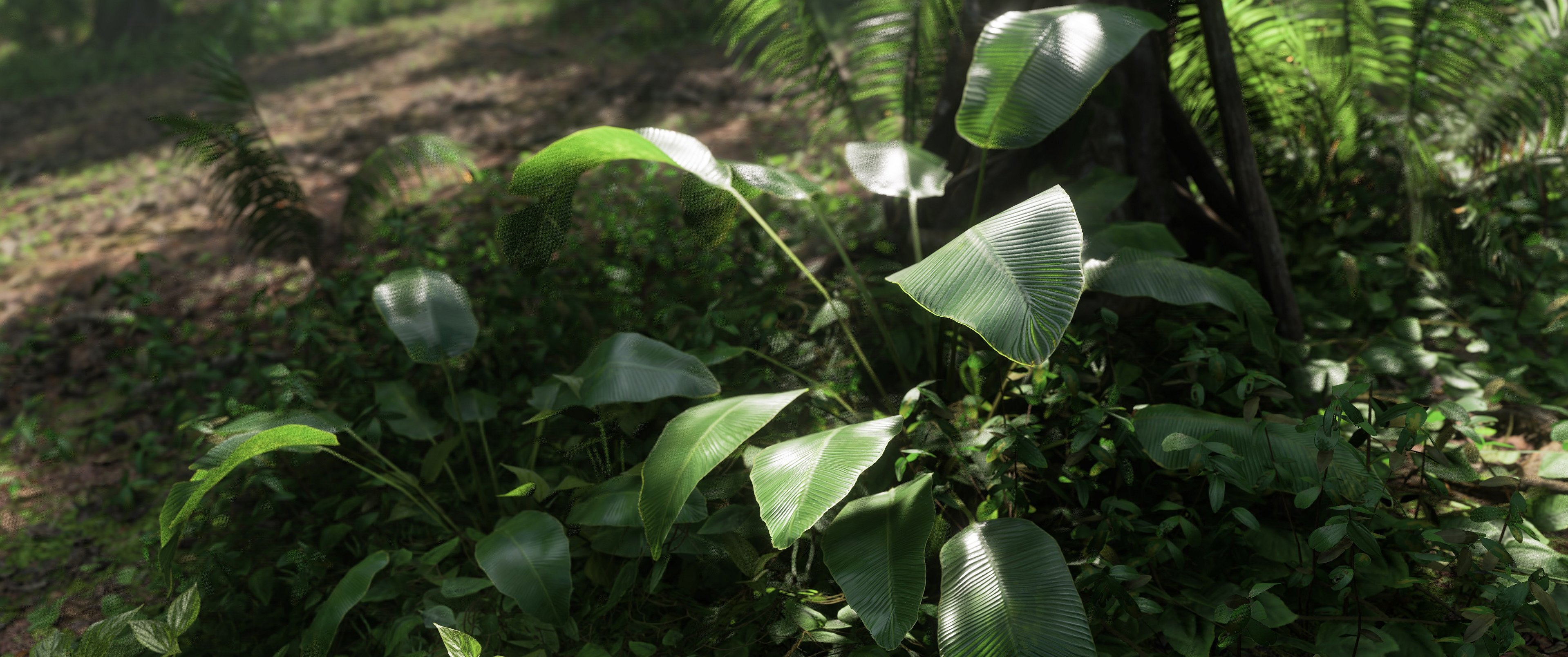 FHVC4jJXsAA5gXW?format=jpg&name=4096x409