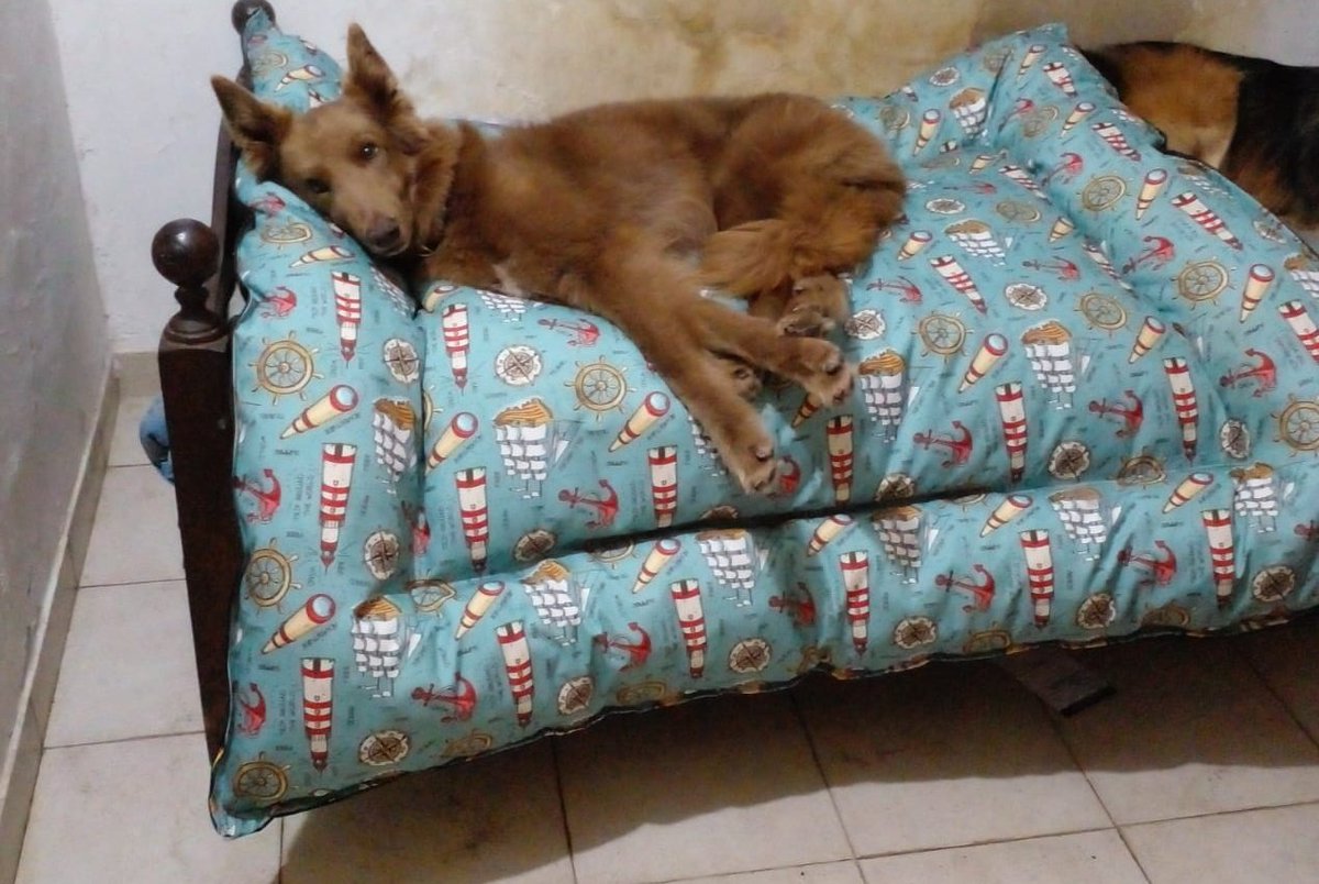 MDKporsiempre's tweet photo. Gracias x creer en mí.
Gracias a ustedes, ésta navidad es distinta a las últimas 3. Hoy hice de Papa Noel y fui a comprar los regalitos para hijes y la comida. Y no le debo plata a nadie.
GRACIAS
GRACIAS
GRACIAS
Espero que tengan unas hermosas y bendecidas fiestas!
#Ailavius 🥰✌️ https://t.co/Rvp4ogtrYx