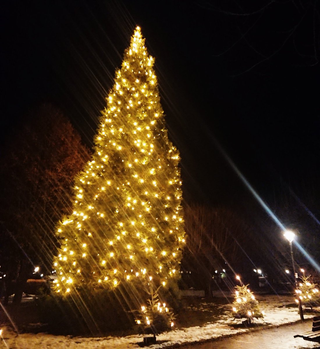 joergjessen's tweet image. Wünsche Ihnen und Ihren Familien ein frohes Weihnachtsfest und ein erfolgreiches, friedliches und glückliches Neues Jahr! Bleiben Sie gesund und geschützt🎄✨