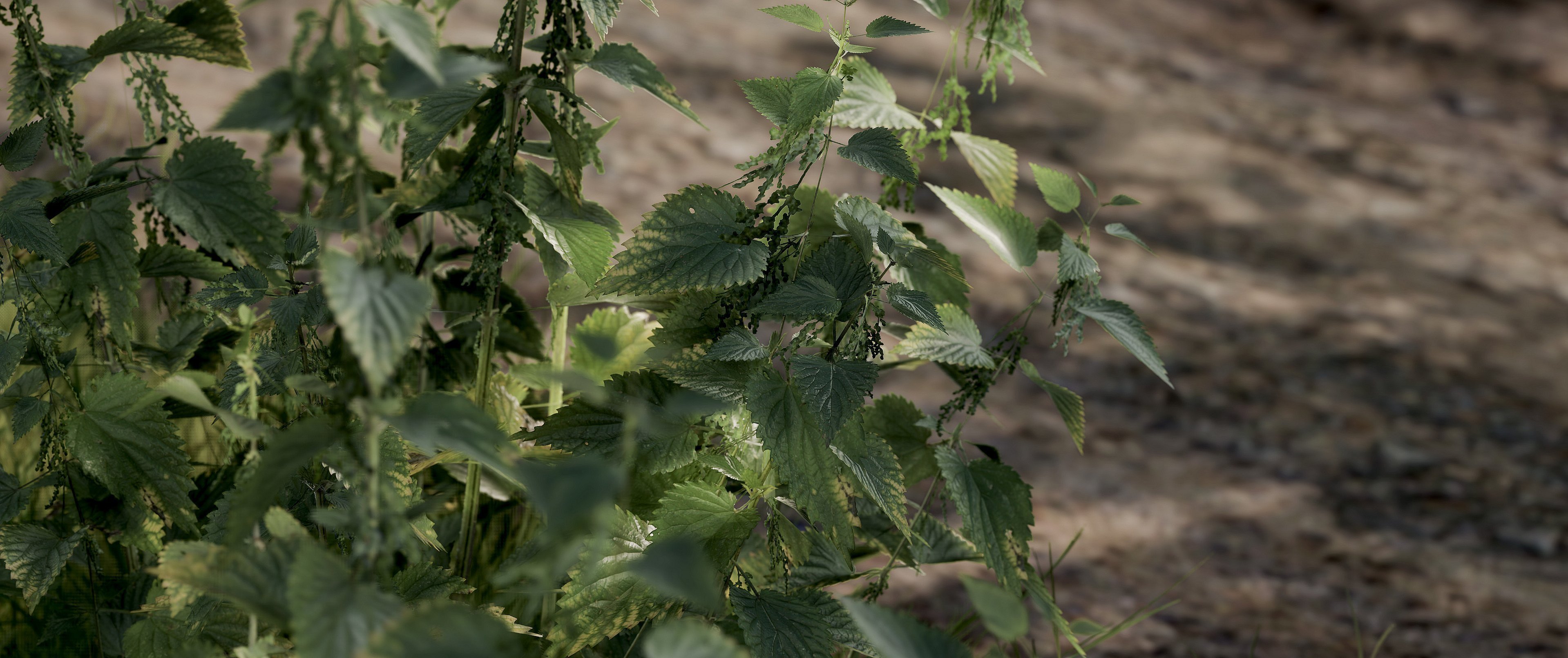 FHVDlyxXoAEeH76?format=jpg&name=4096x409