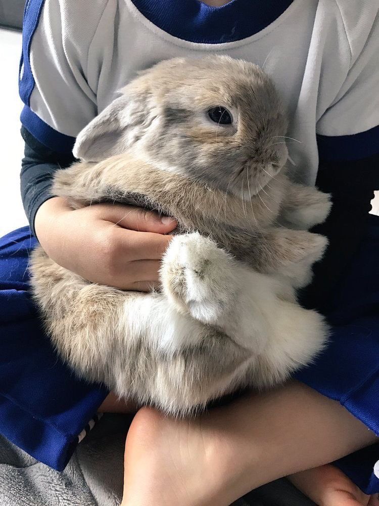 okmfal's tweet photo. guess who’s back!! https://t.co/NxsLiJu3ix
