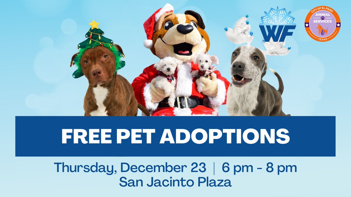 ElPasoAnimalSvc's tweet photo. FREE pet adoptions tonight at EP Winterfest! #adopt #adoptep #epaspets #iamelpaso #dogsofwinterfest https://t.co/Qe7T6kmzpR