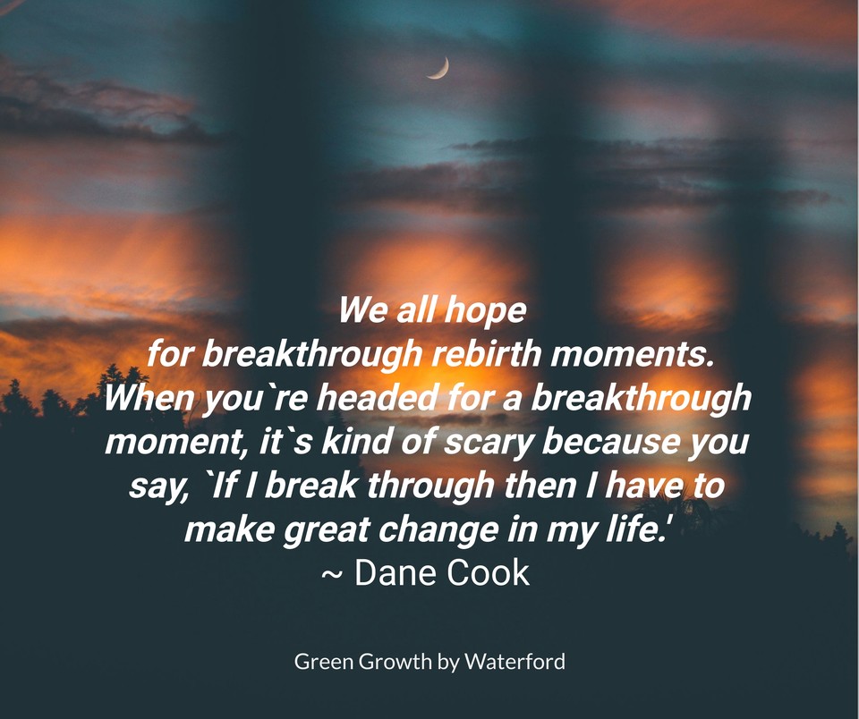 servelearngrow's tweet image. #rebirth
#greengrowthbywaterford
#greengrowth
#sustainability
#environment
#green
#livingwithpurpose